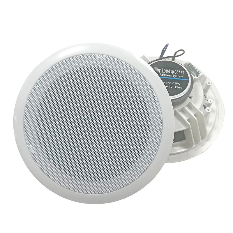 best ceiling speaker system